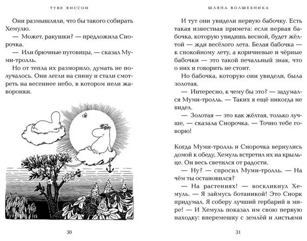Шляпа Волшебника