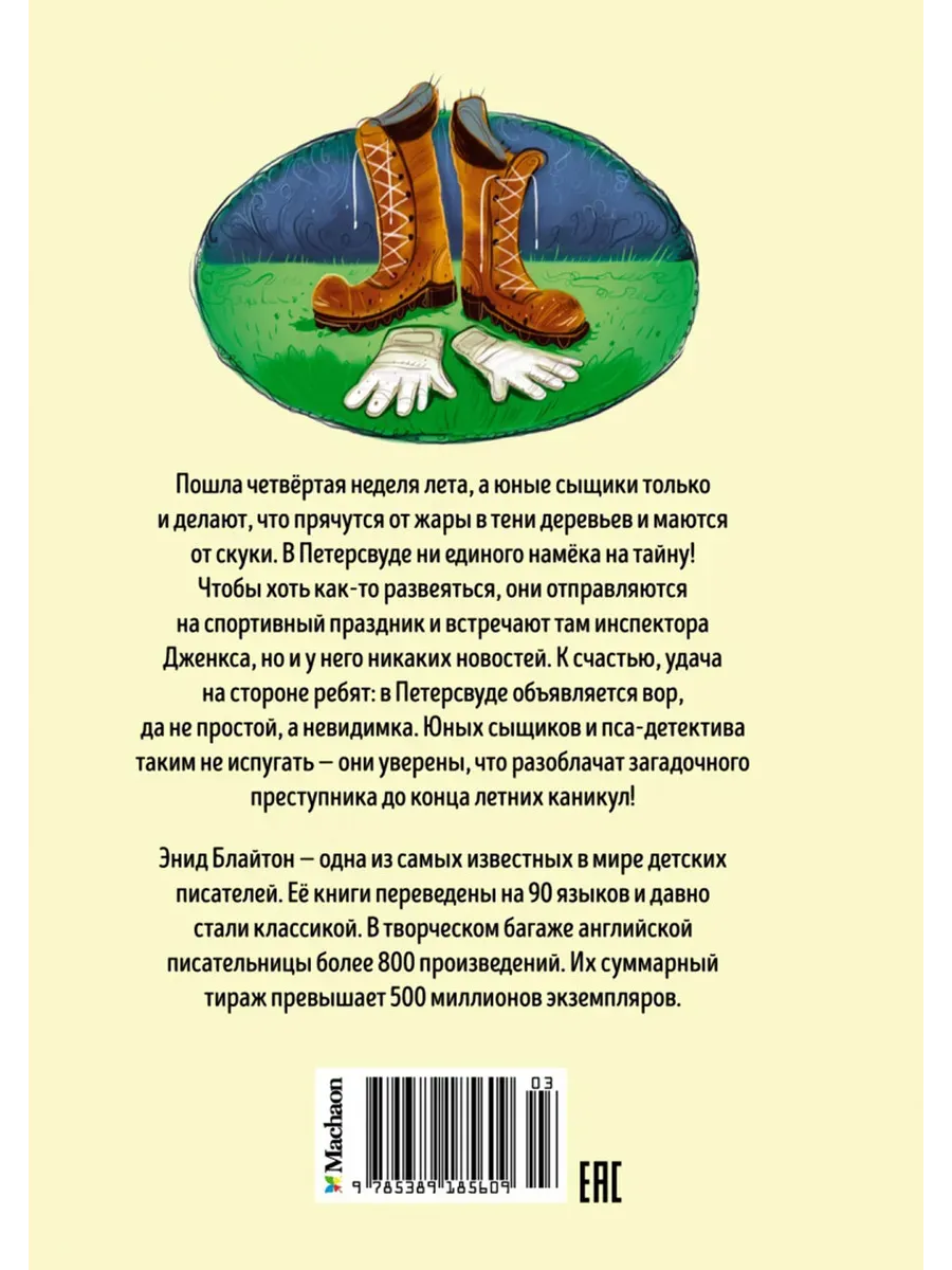 Пять юных сыщиков. Тайна вора-невидимки