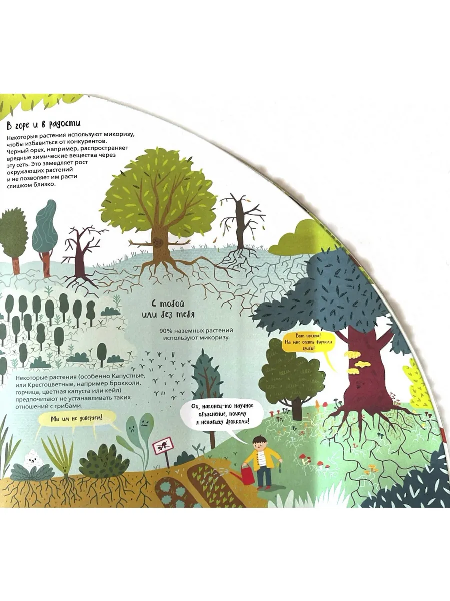 Вокруг лесов: исследуем уникальные уголки планеты