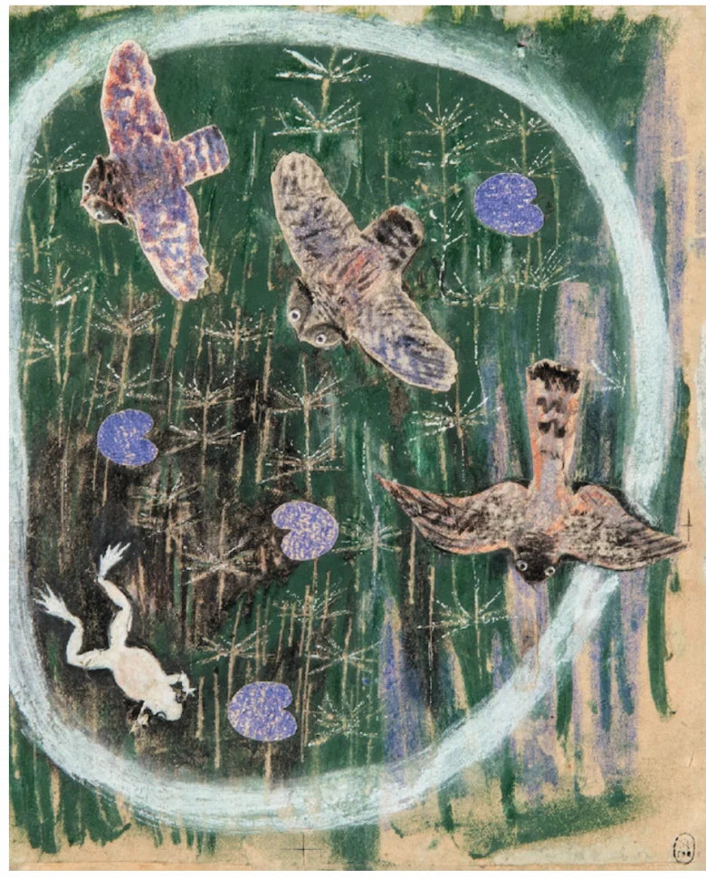 Болото (папка: книга + карточки с эскизами)