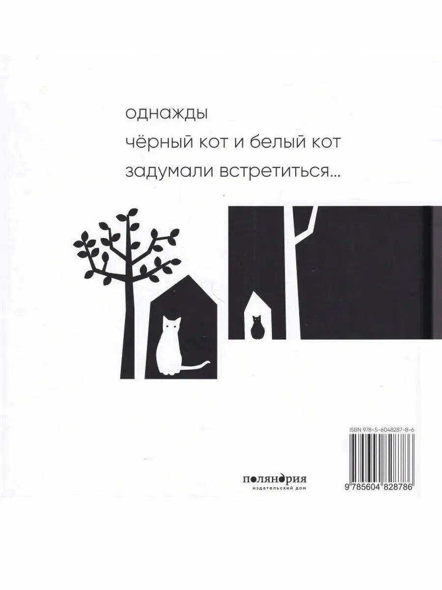 Чёрный кот, белый кот