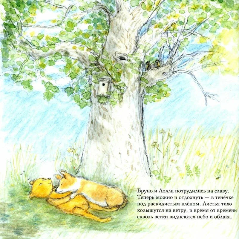 Лето мишки Бруно