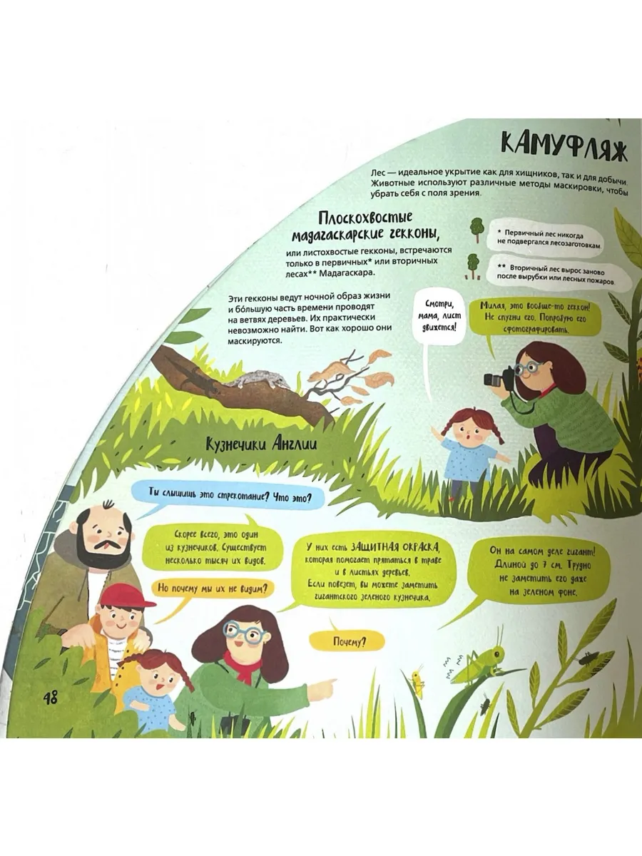 Вокруг лесов: исследуем уникальные уголки планеты