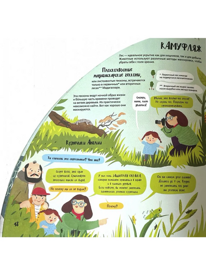 Вокруг лесов: исследуем уникальные уголки планеты