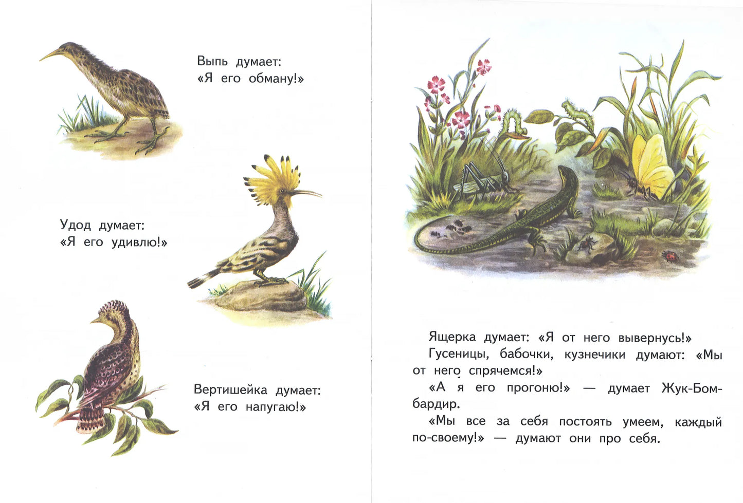 Первая охота. Странички-невелички