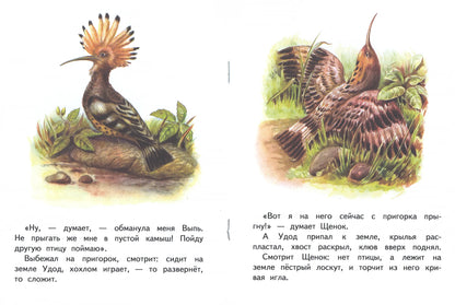 Первая охота. Странички-невелички