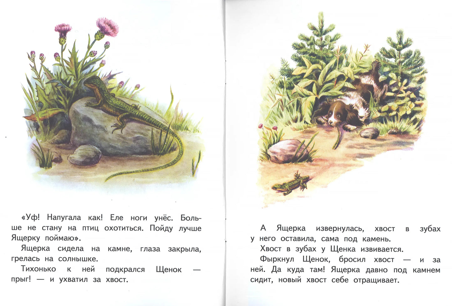 Первая охота. Странички-невелички