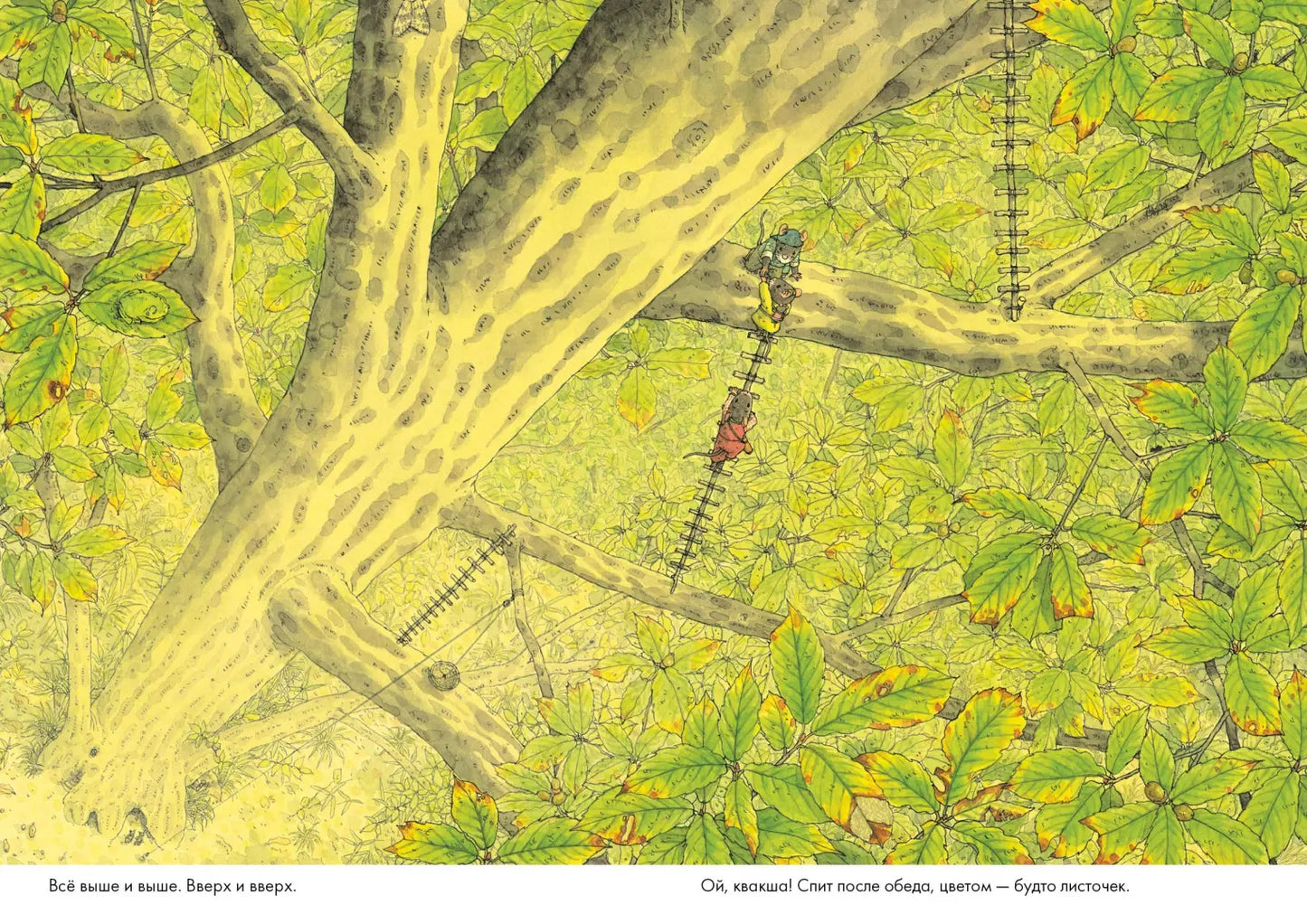 14 лесных мышей. Ужин с луной (МИНИ)