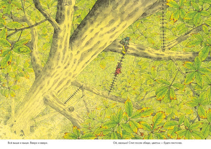 14 лесных мышей. Ужин с луной