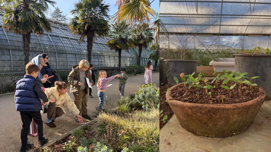 Зелёная школа воображений: пресс для гербария в парке Bagatelle💚🤸🏻‍♂️