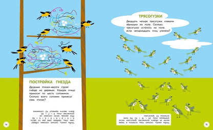 Туканы, синицы и другие птицы. Весёлые задачки