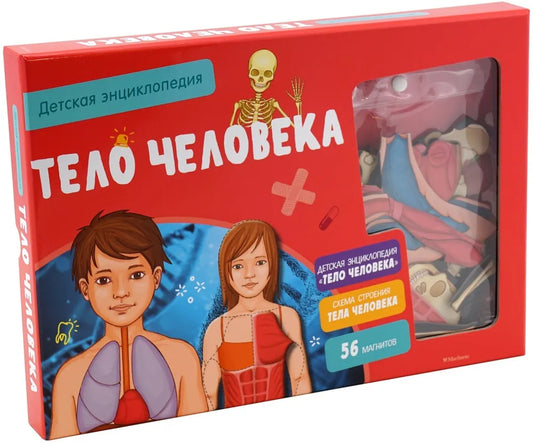 Тело человека. Детская энциклопедия (в коробке)