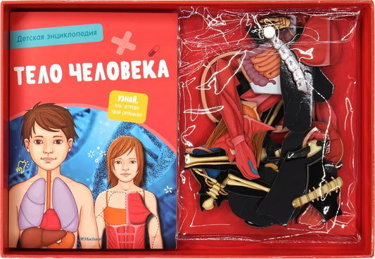 Тело человека. Детская энциклопедия (в коробке)
