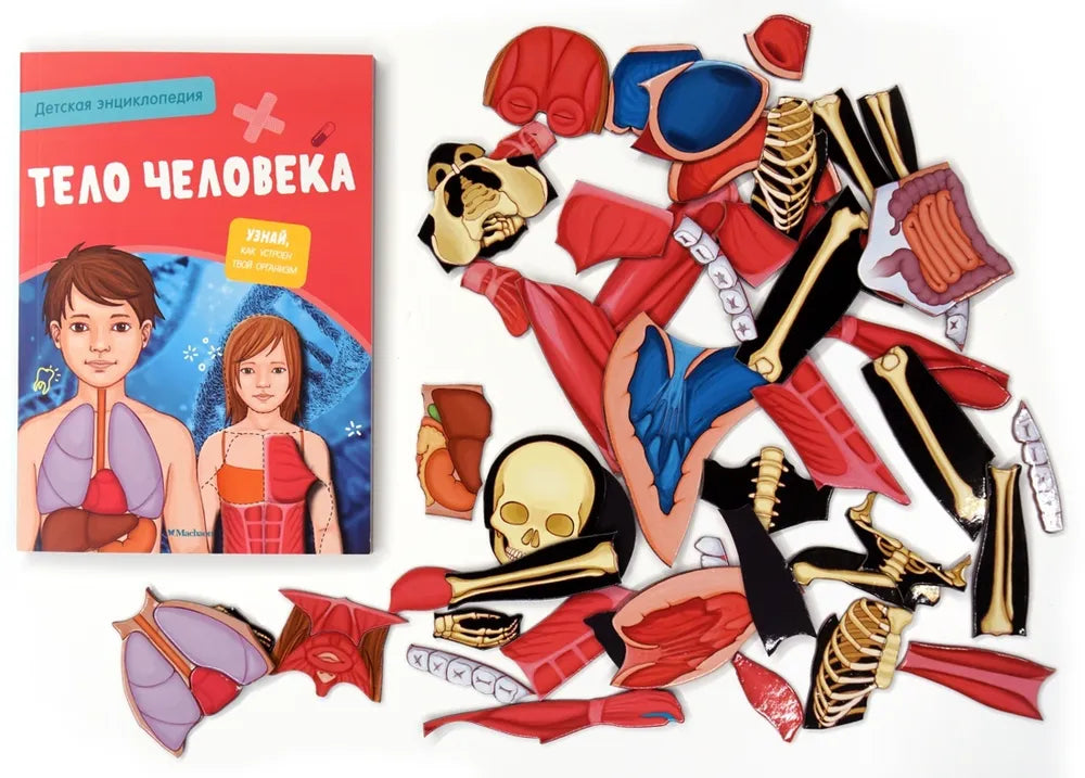 Тело человека. Детская энциклопедия (в коробке)