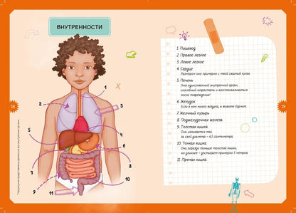 Тело человека. Детская энциклопедия (в коробке)