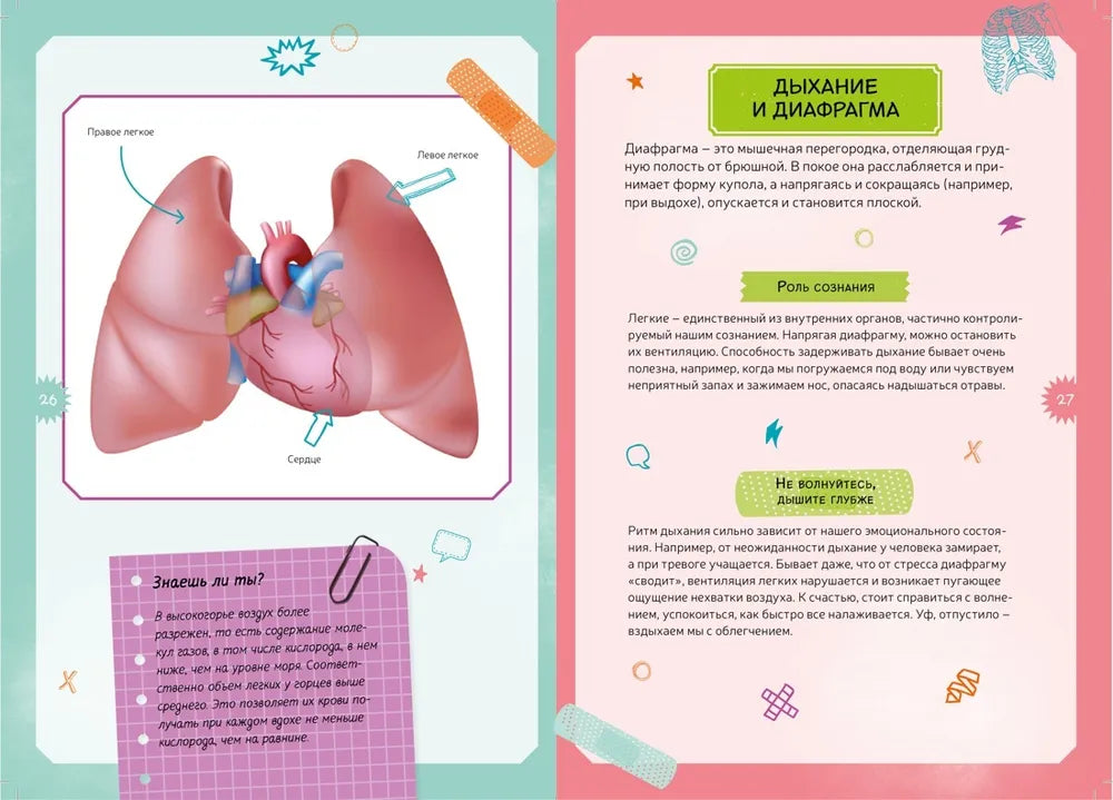 Тело человека. Детская энциклопедия (в коробке)