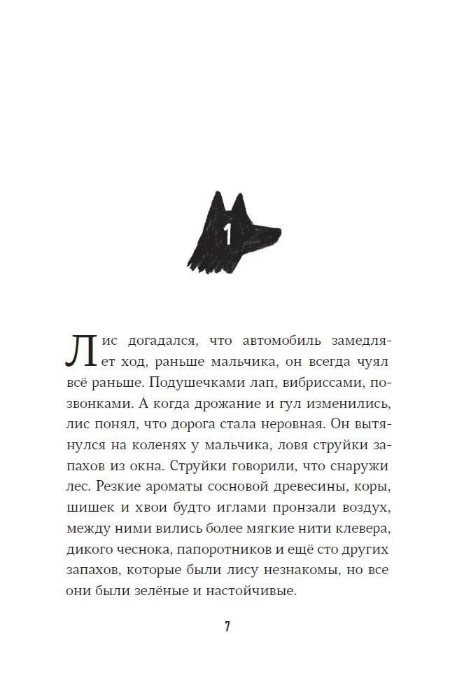 Пакс + Пакс. Дорога домой (комплект книг)