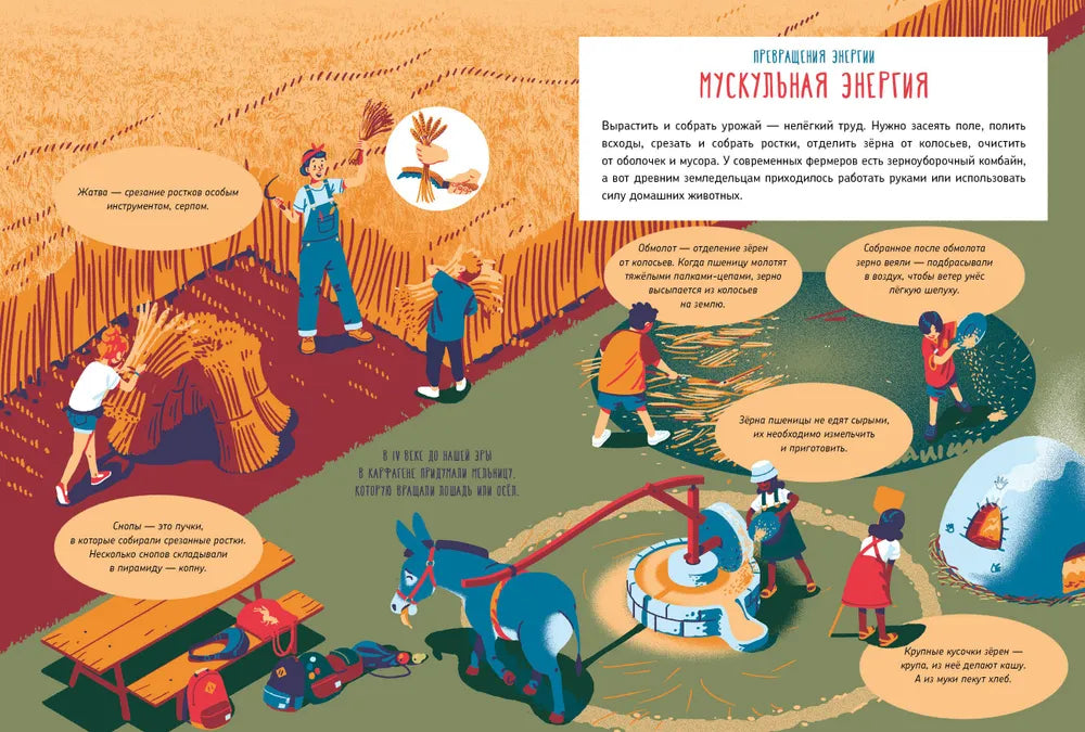 Как устроена мельница?