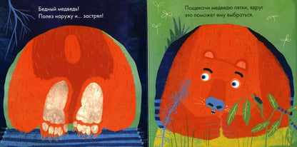 Бедный медведь