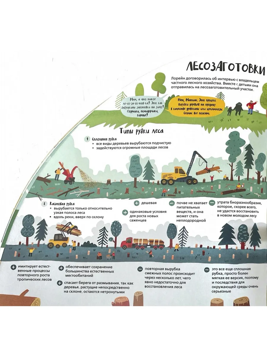 Вокруг лесов: исследуем уникальные уголки планеты