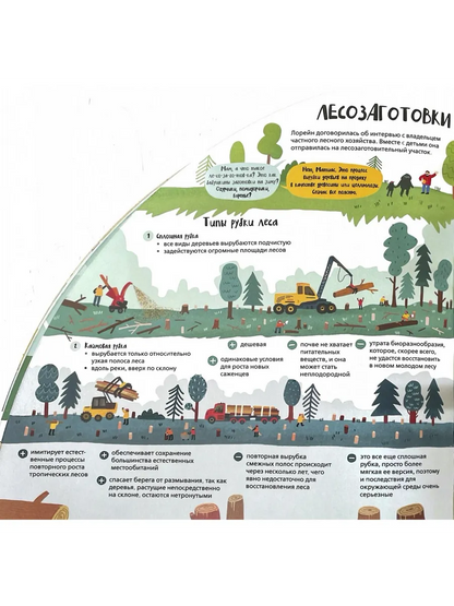Вокруг лесов: исследуем уникальные уголки планеты