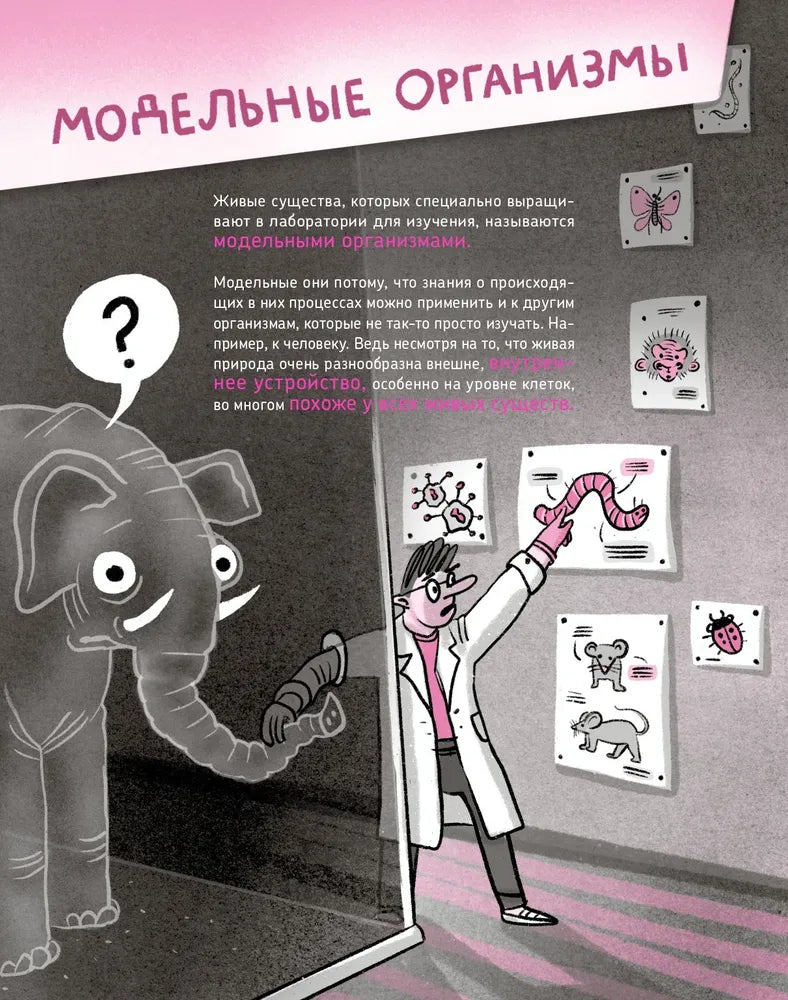 Микросупергерои. Самые полезные