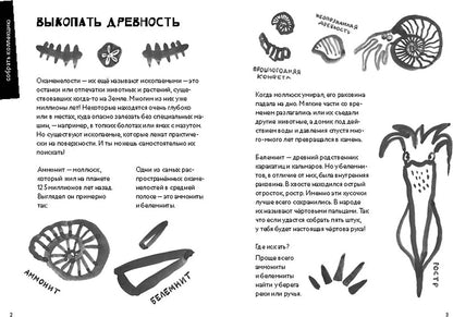50 познавательных игр на природе