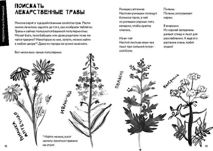 50 познавательных игр на природе