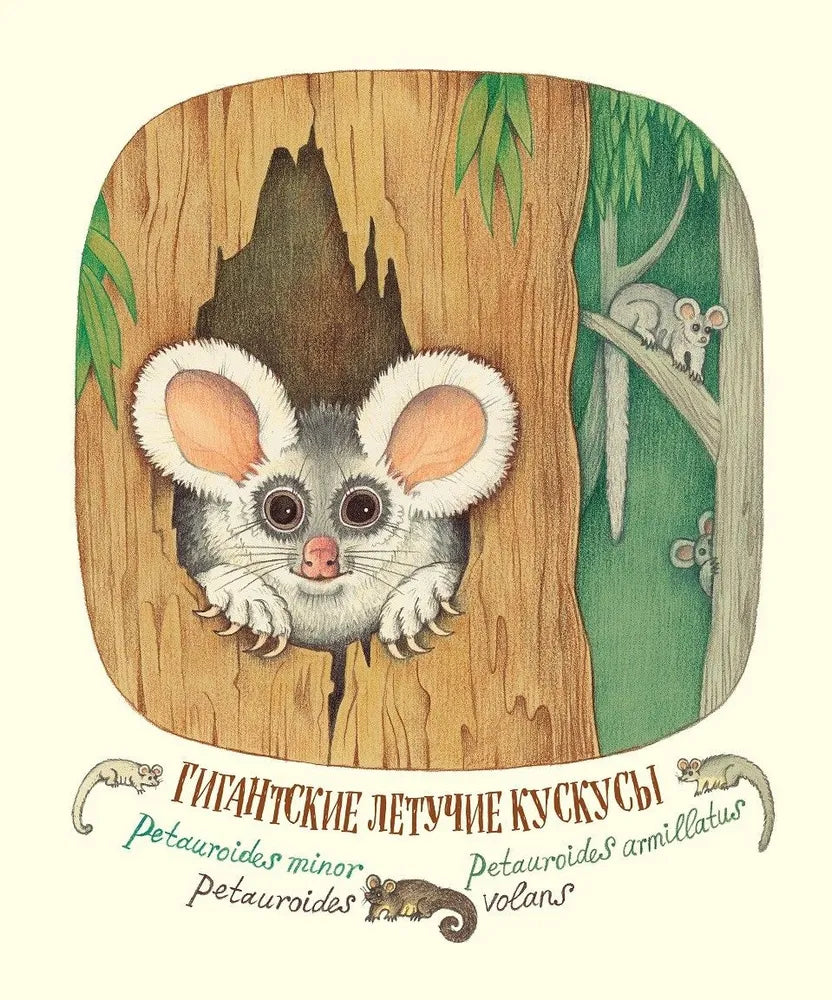 Удивительные уши