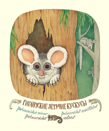 Удивительные уши