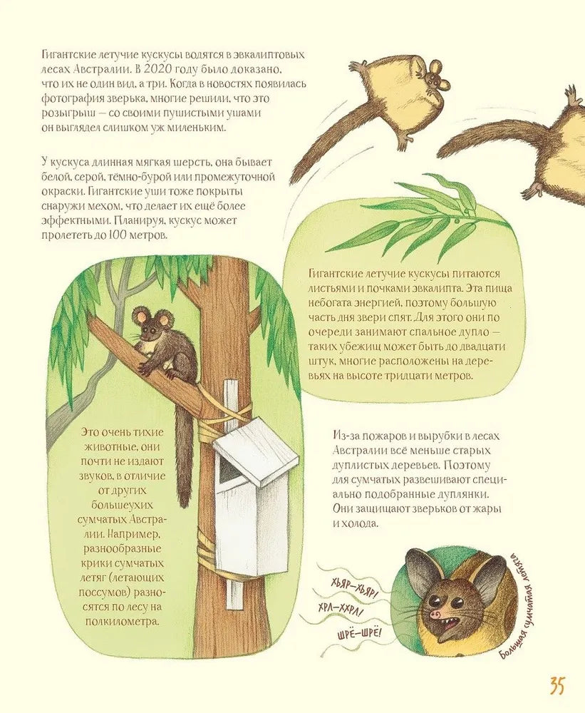 Удивительные уши