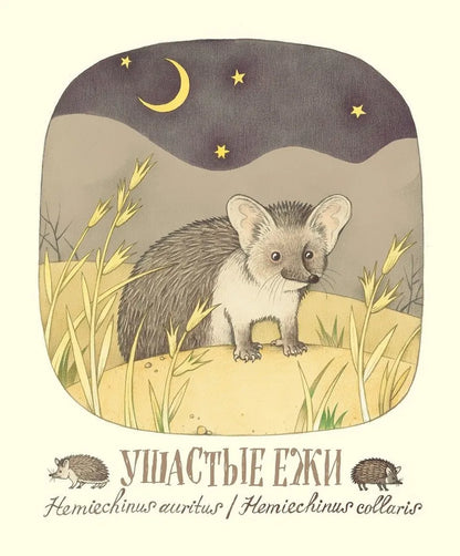 Удивительные уши