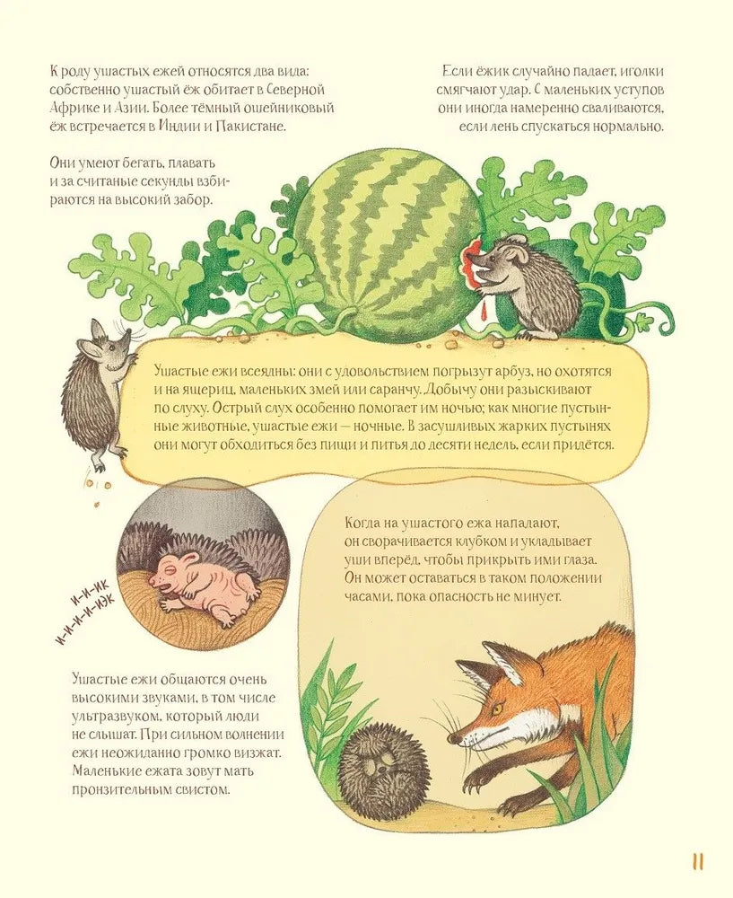 Удивительные уши