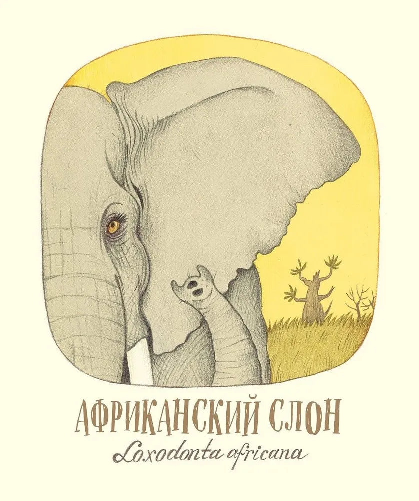 Удивительные уши