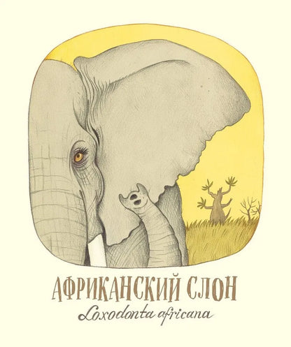 Удивительные уши