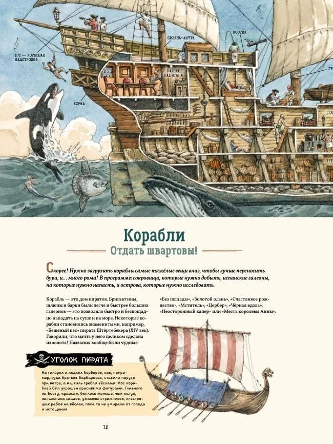 Я обожаю пиратов