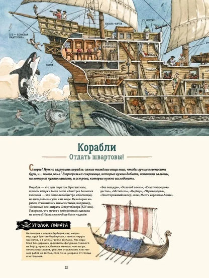 Я обожаю пиратов