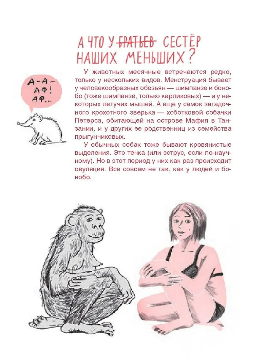 Месячные: твое личное приключение!