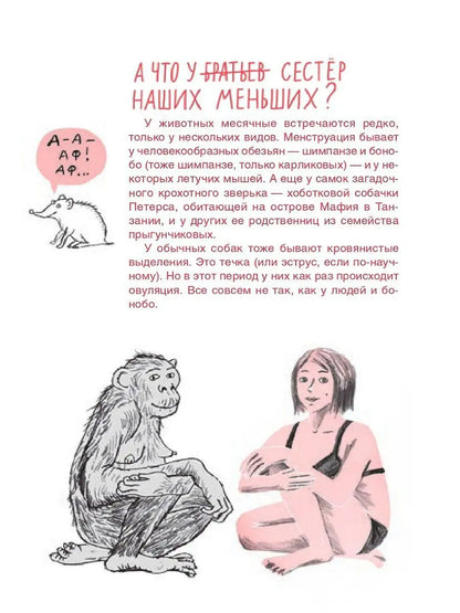 Месячные: твое личное приключение!