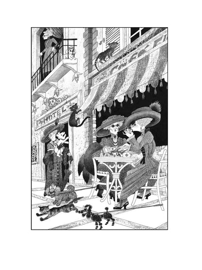 Последний черный кот