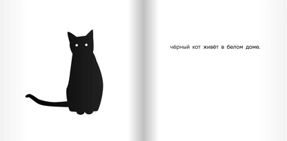 Чёрный кот, белый кот