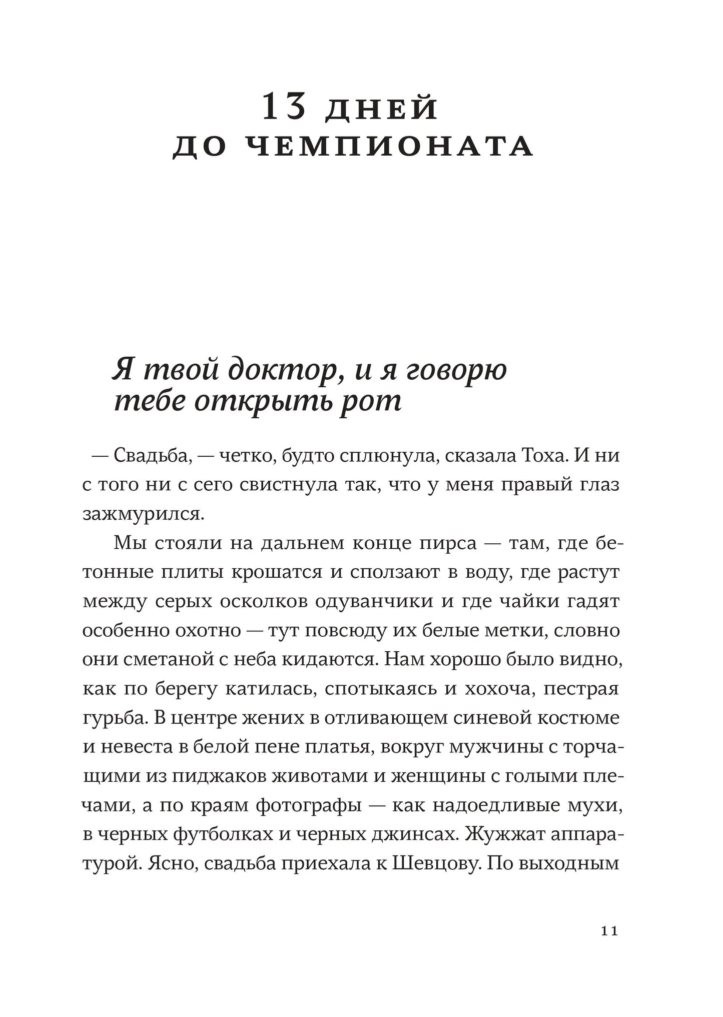 Дарья Вандербург. Правило для толстой чайки