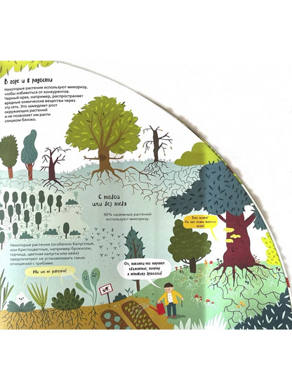 Вокруг лесов: исследуем уникальные уголки планеты