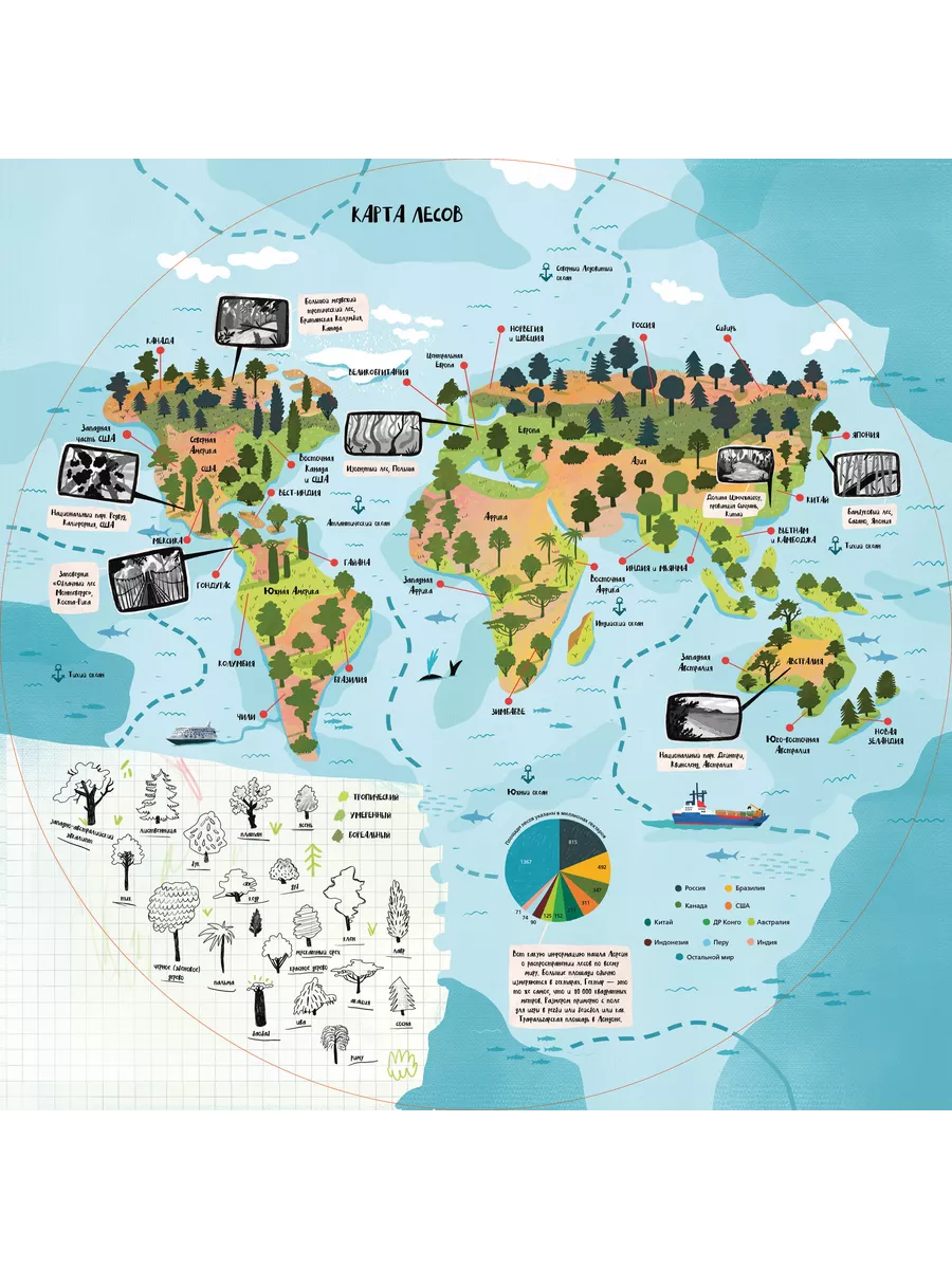 Вокруг лесов: исследуем уникальные уголки планеты