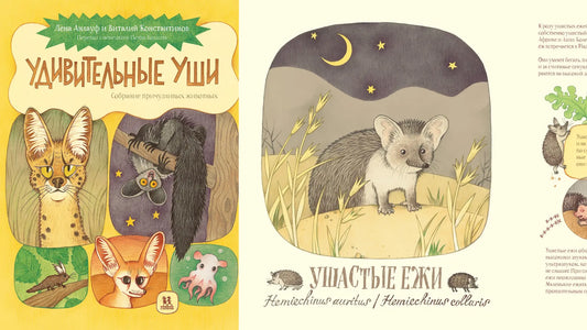 «Удивительные уши» и ушастая книжная мастерская
