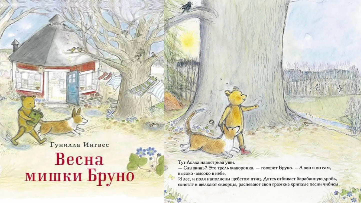 «Весна мишки Бруно» и лесной дом-гармошка