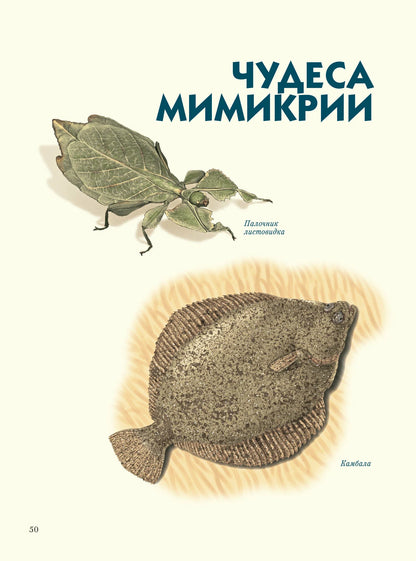 Самые-самые. Животные-рекордсмены