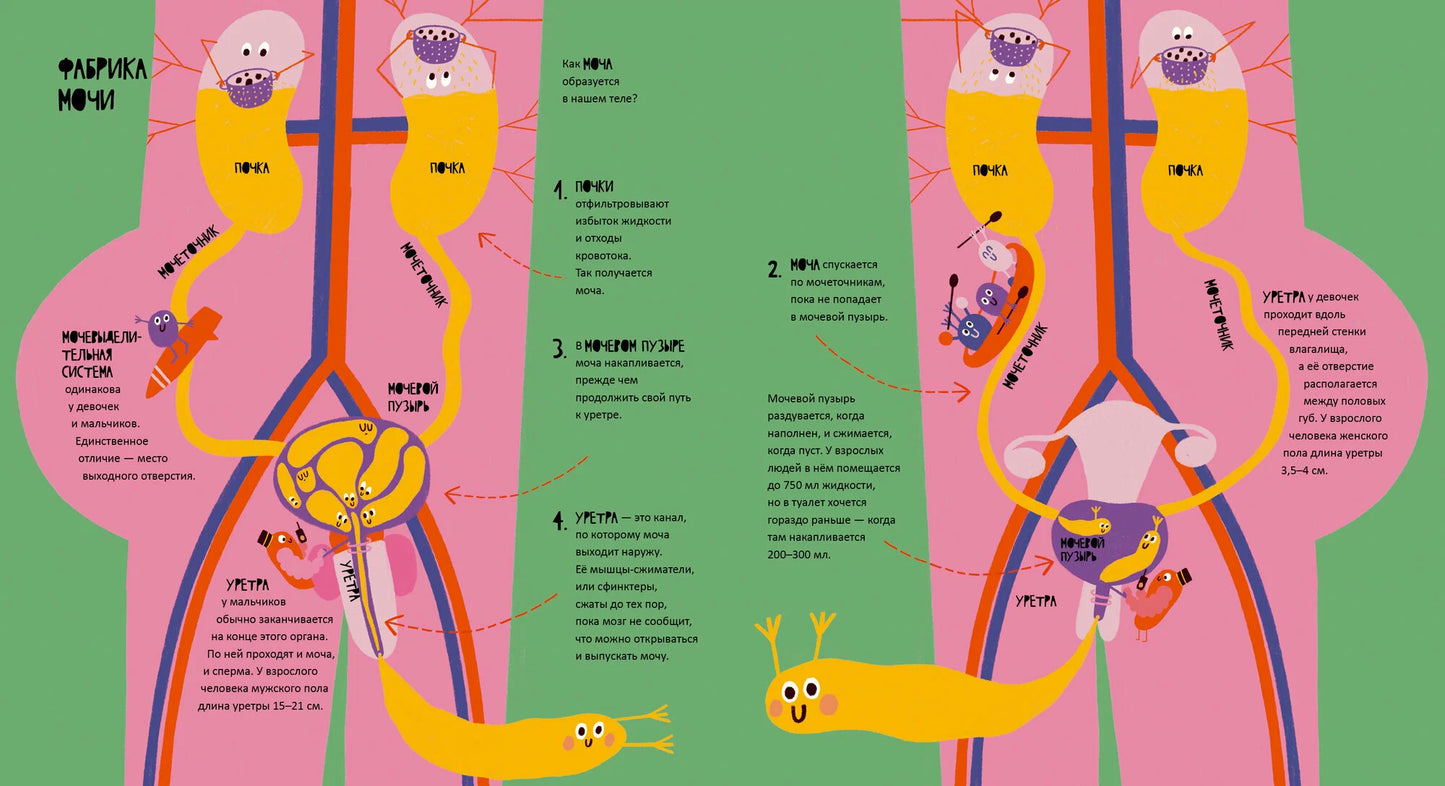 Тайная жизнь мочи и какашек