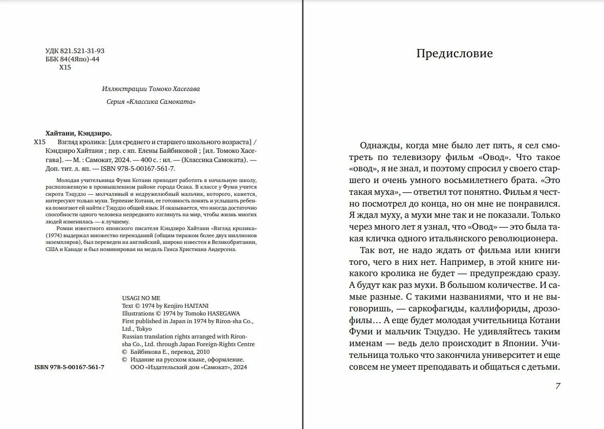 Взгляд кролика