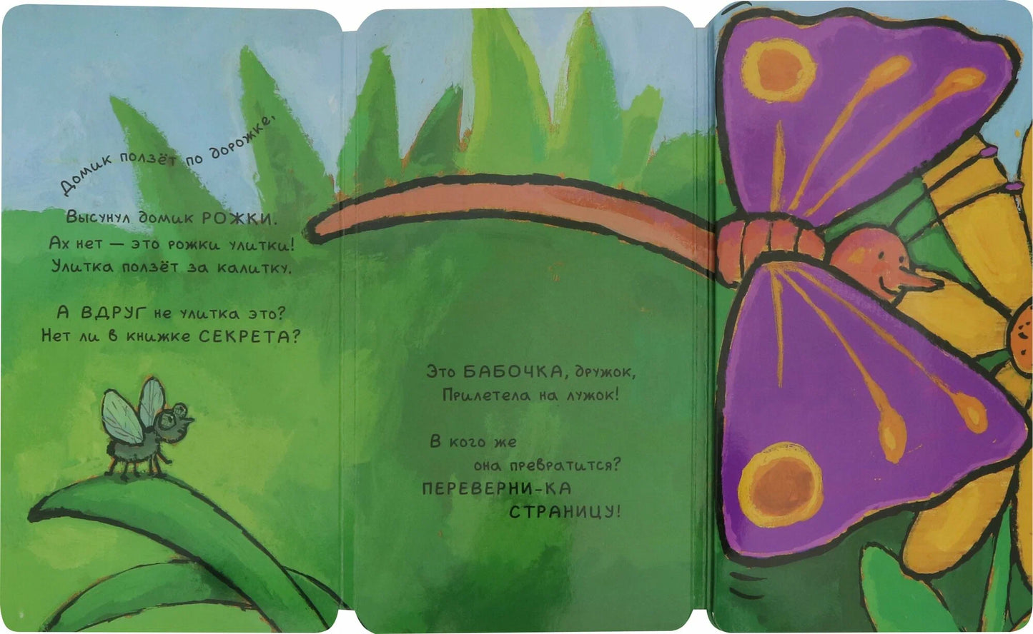 Книга-превращение. Это не... улитка!